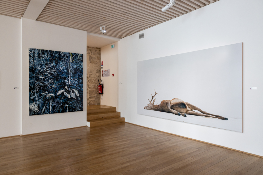 Exposition Humain Animal