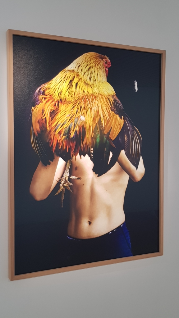 Exposition Humain Animal