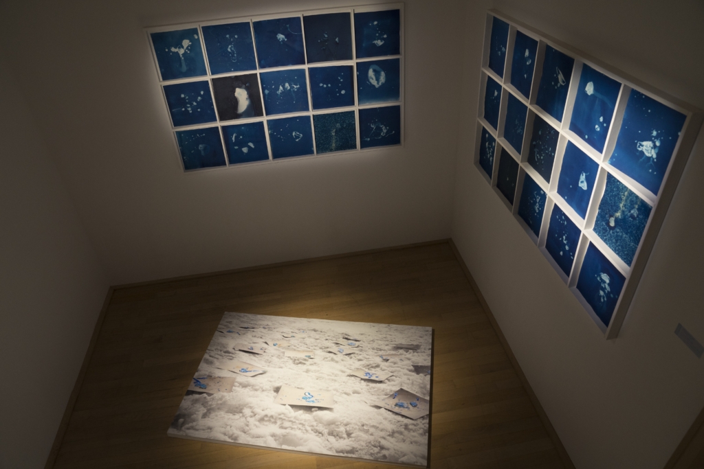 Exposition Paysages Gelés