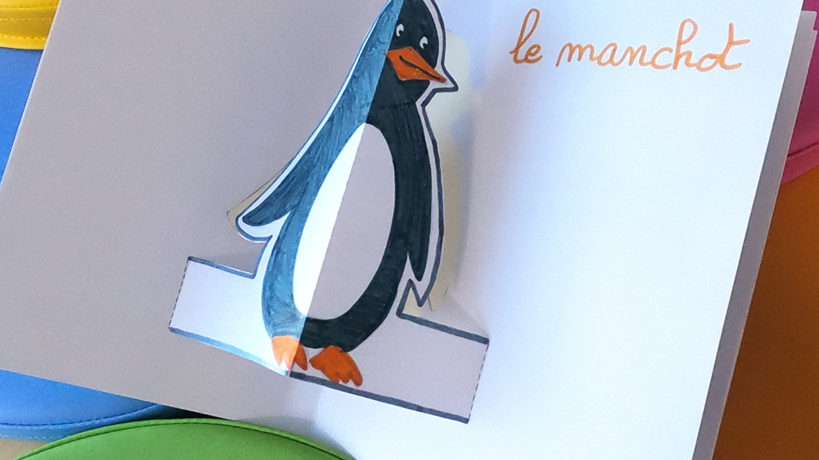 L'atelier du mardi : Pop-up animaux polaires