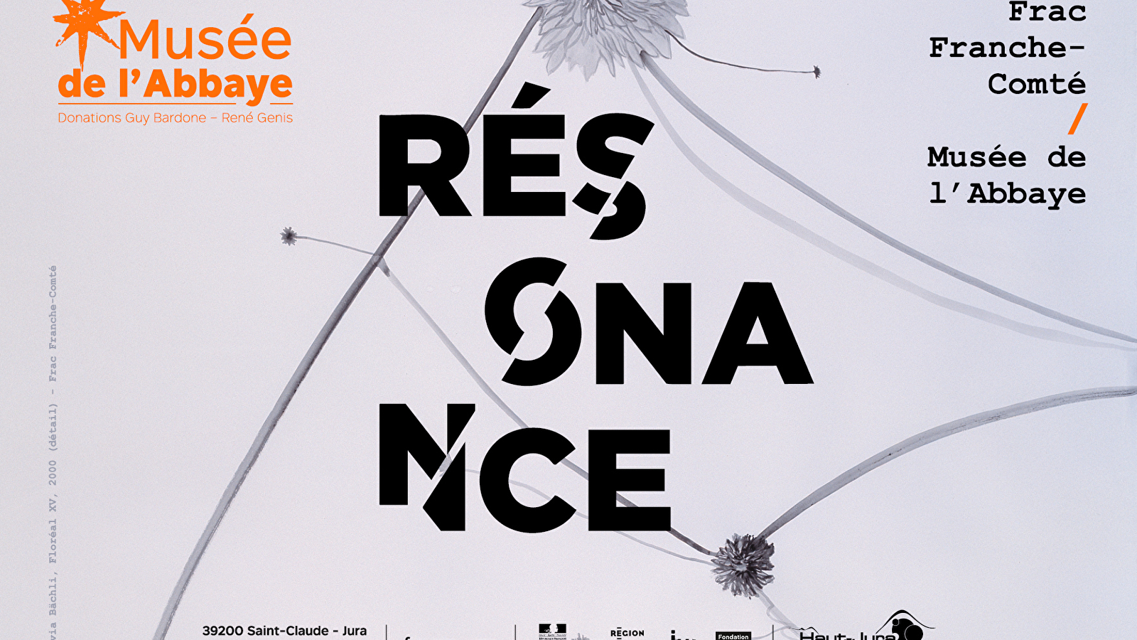 Musée de l'Abbaye - Visite guidée : ' Résonance '