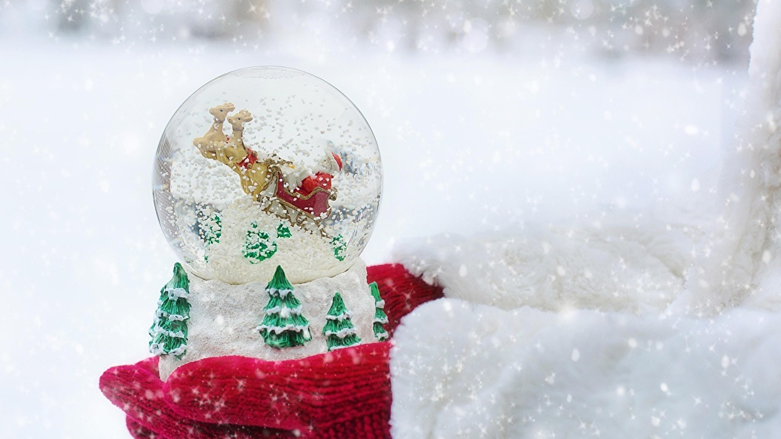 Atelier Boule à neige 